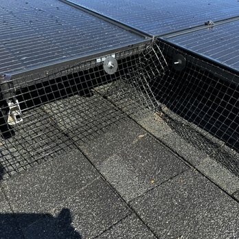 Critter guard / bird proofing detail on rooftop solar — Marz Solar